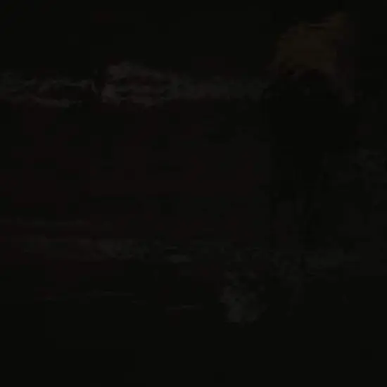 Richloom 12 Gauge Translucent Vinyl Fabric Black {4}