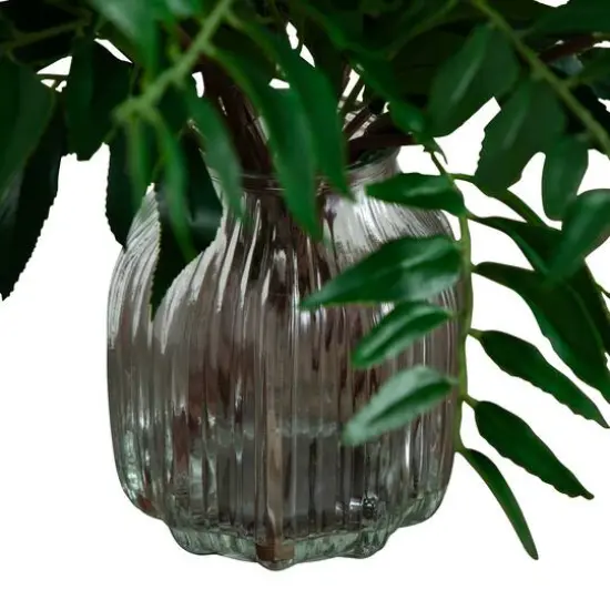 19" Palmate Fern Arrangement in Glass Vase {10}