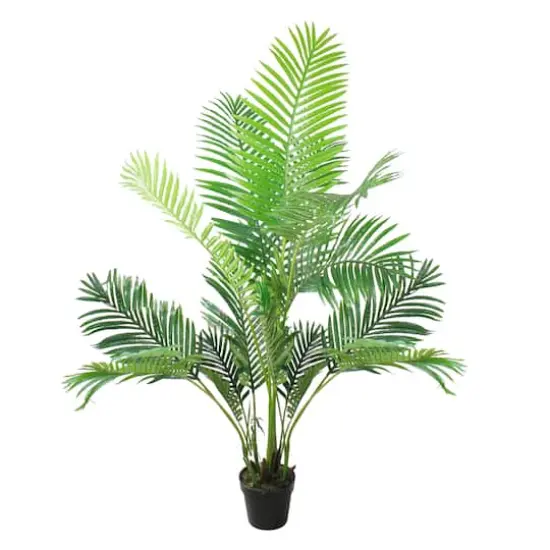 5.75ft. Green Potted Areca Palm Tree {1}