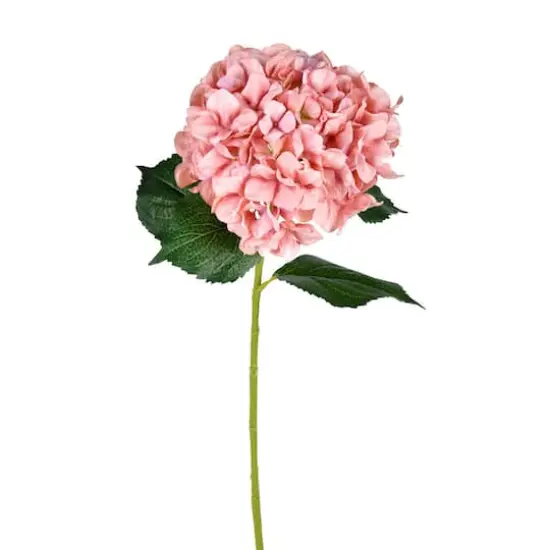Pink Hydrangea Stem, 2ct. {1}