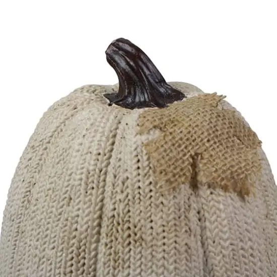 6.25" White Pumpkin Autumn Harvest Thanksgiving Tabletop Decoration {5}