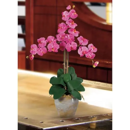 Triple Phalaenopsis Orchid Flower Arrangement In Ceramic Vase Dark Pink {3}