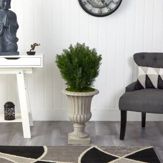 3ft. Cedar Tree in Sand Finished Urn {4}