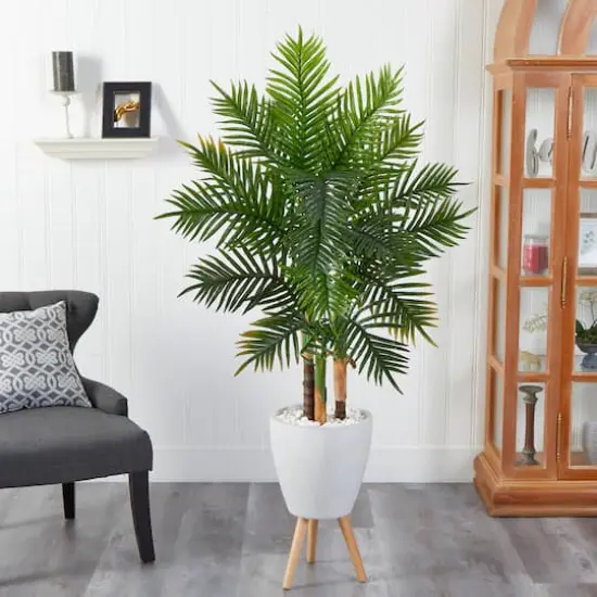 5ft. Areca Palm Tree in White Planter with Stand {4}