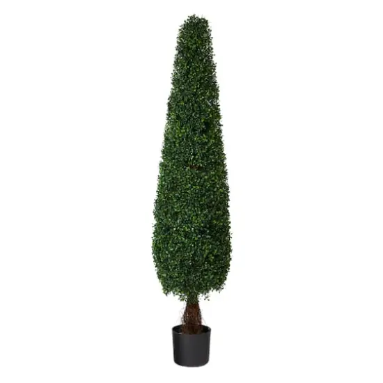 5ft. Potted Boxwood Cone Topiary Tree {1}