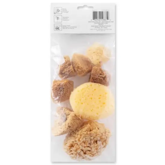 Variety Sponge Value Pack by Craft Smart&reg; {5}