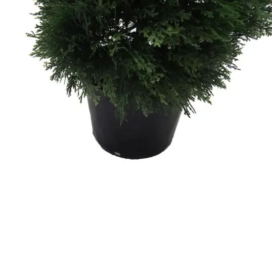 5ft. Potted Green Cedar Spiral Tree {5}