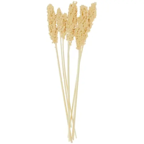 Dried Corn Maize Natural Foliage with Long Stems Cream {5}