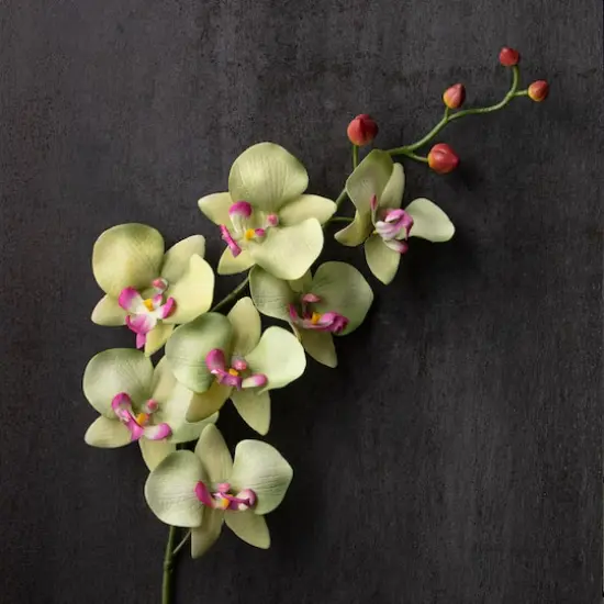 Orchid Spray by Ashland&reg; Green and Pink {3}