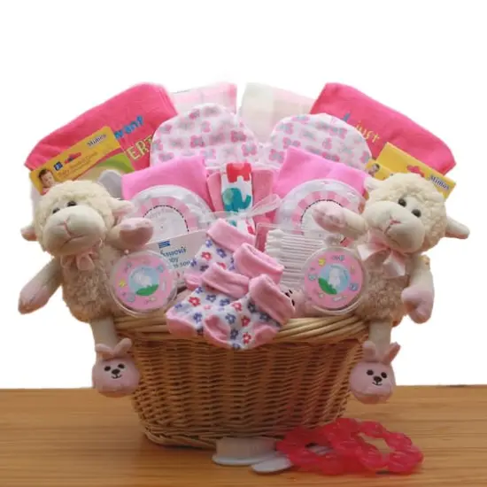 Double Delight Twins New Baby Girl Gift Basket {1}