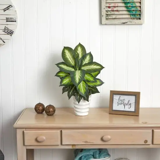 22" Potted Dieffenbachia in White Decorative Planter {5}