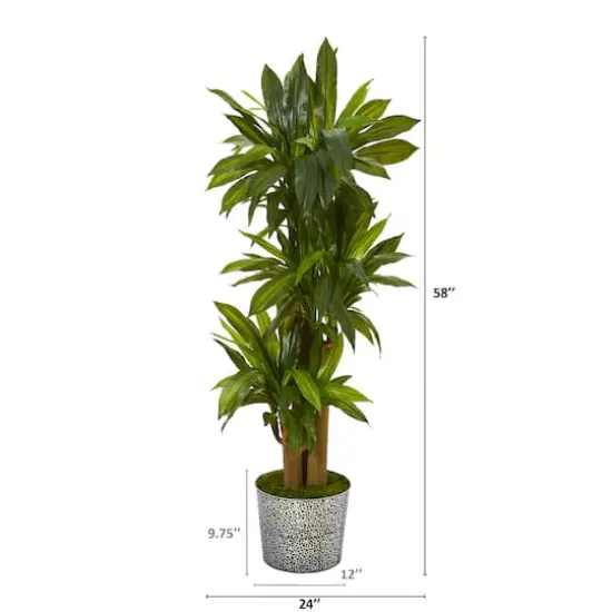 4.5ft. Corn Stalk Dracaena in Black Embossed Tin Planter {3}
