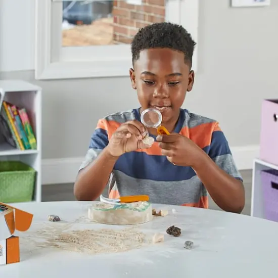 hand2mind&reg; Dig & Display Fossil Kit {4}