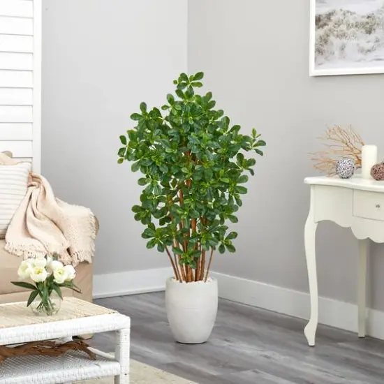 4.5ft. Black Olive Tree in White Planter {5}