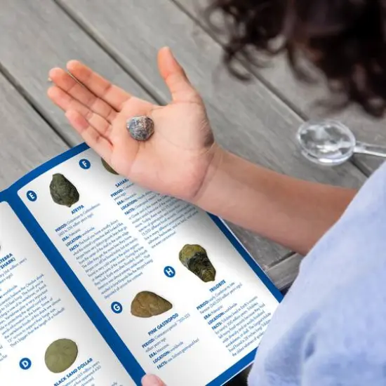 Educational Insights GeoSafari Jr. Fossil Excavation Kit {6}