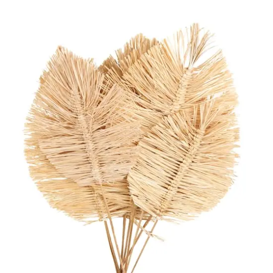 32" Light Brown Dried Grass Spear-Shaped Foliage with Sharp Stems {6}