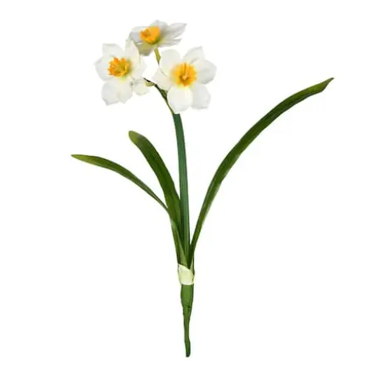 Cream Daffodil Spray, 3ct. {4}