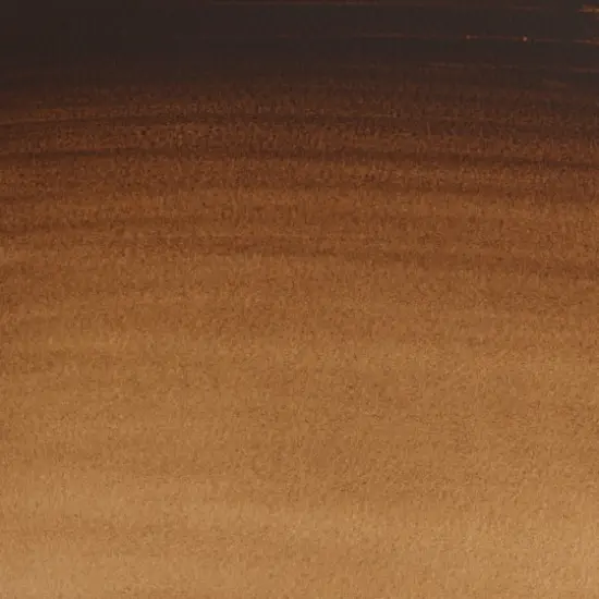 Winsor & Newton® Cotman® 0.71oz. Watercolor Paint Vandyke Brown {3}