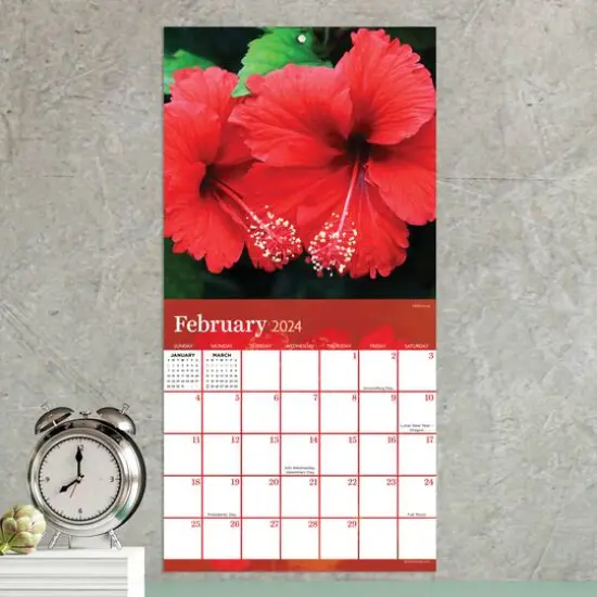 TF Publishing 2024 Flowers Mini Calendar {5}