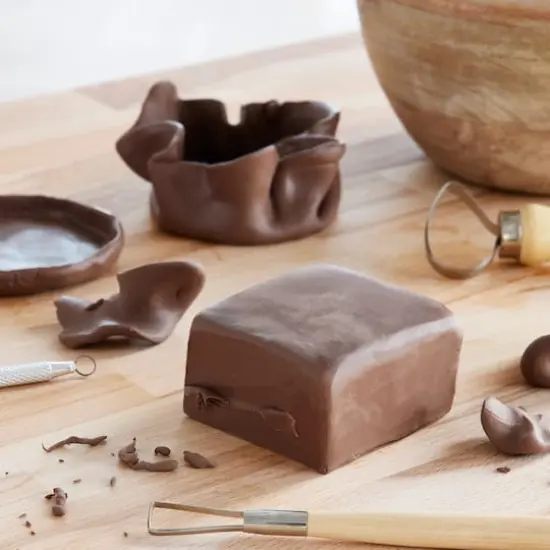 Craft Smart&reg; Polymer Clay, 1 lb. Brown {4}