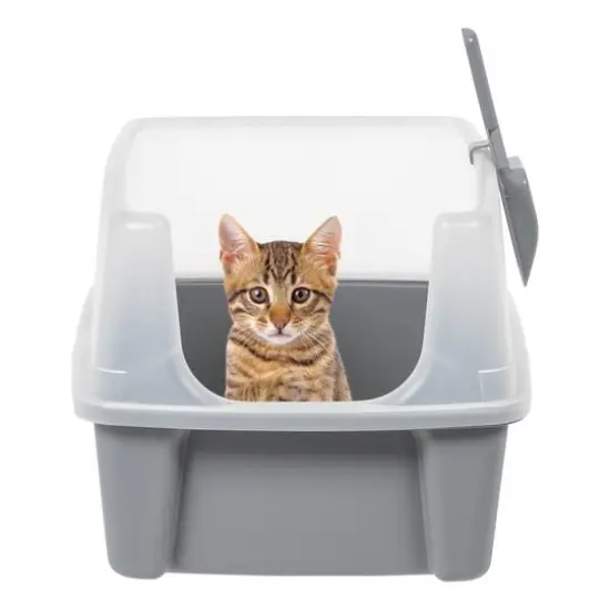 IRIS&reg; 20qt. Gray Cat Litter Box with Open Lid {9}