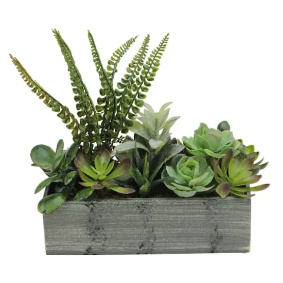 11.75" Mixed Succulent Plants in Rectangular Planter {1}