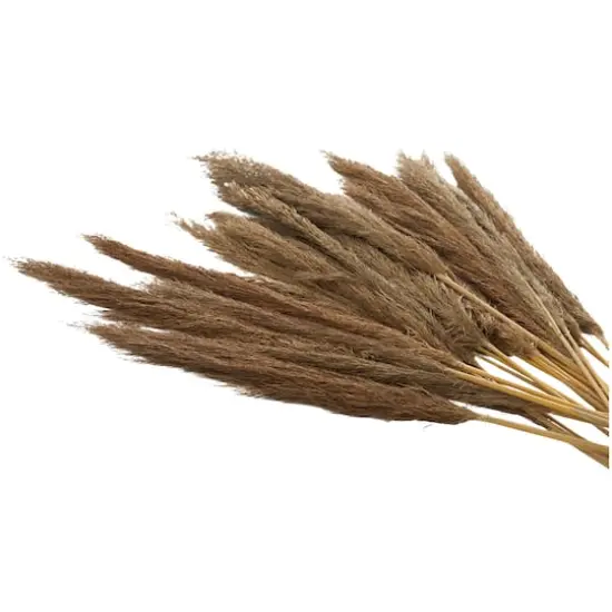 Dried Plant Bamboo Natural Foliage with Long Stems Brown {6}