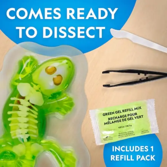 National Geographic&trade; Glow-in-the-Dark Gecko Dissection Lab {3}