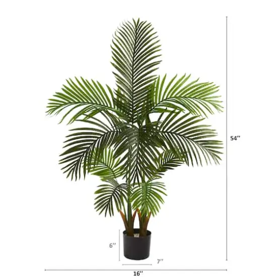 4.5ft. Potted Areca Palm Tree {3}