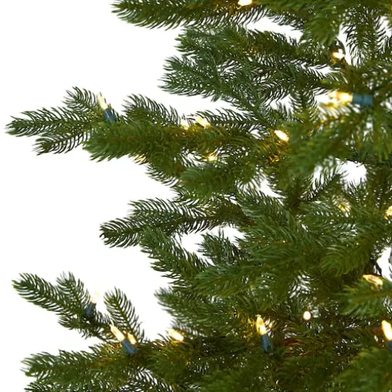 7.5ft. Pre-Lit Fairbanks Fir Artificial Christmas Tree, Clear LED Lights {4}