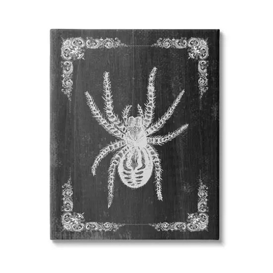 Stupell Industries Black & White Spider Canvas Wall Art {1}
