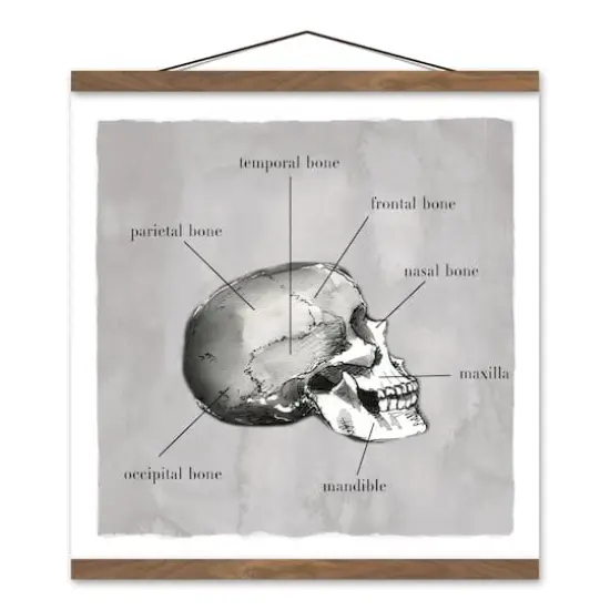 Skull Parts 16" x 16" Teak Hanging Canvas {1}