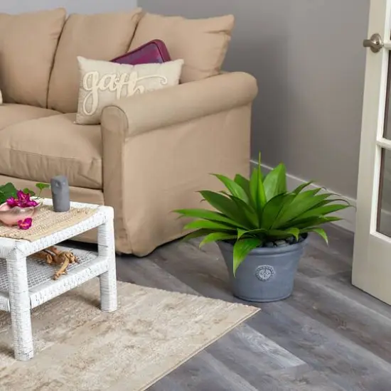 22" Agave Succulent Plant in Gray Planter {5}