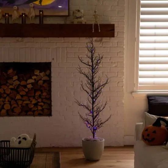 5ft. Pre-Lit Artificial Halloween Black Spooky Twig Tree with 200 Orange & Purple Copper Wire String LED Lights {10}
