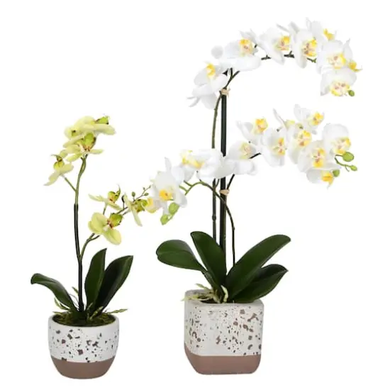 White Artificial Mini Moth Orchid in Planter Set {1}