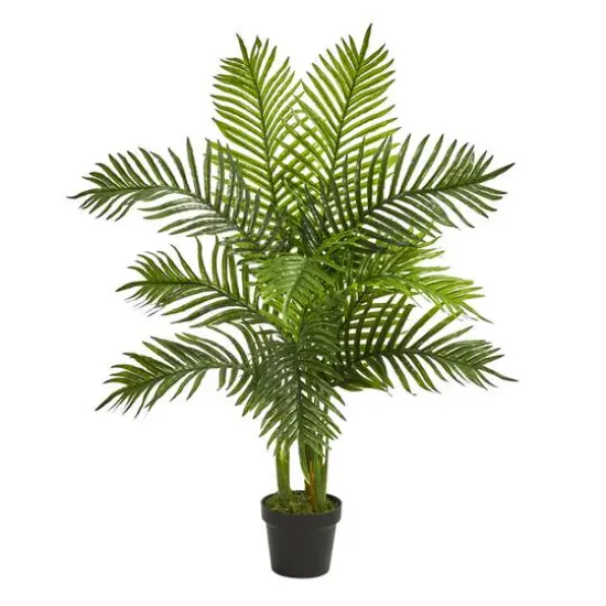 3.5ft. Potted Areca Palm Tree {1}