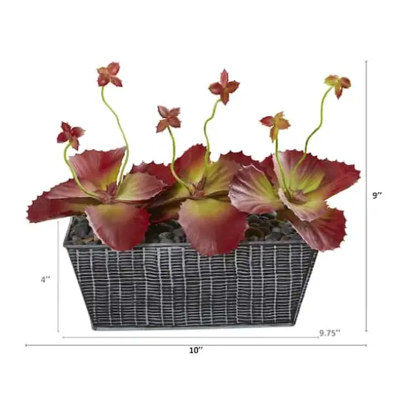 10" Succulent Plant in Embossed Tin Planter {3}