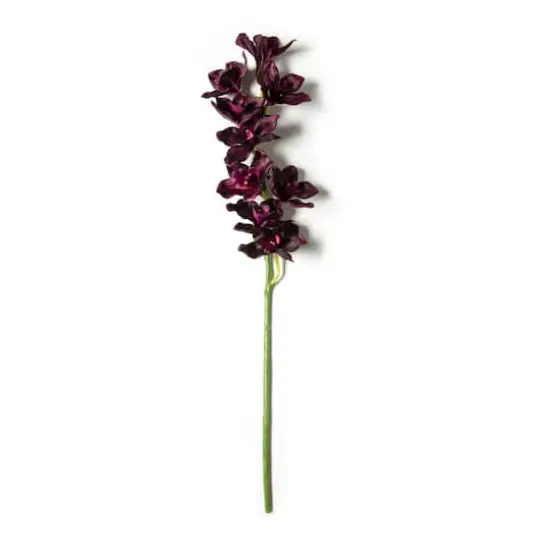 Tropical Cymbidium Spray by Ashland&reg; {1}