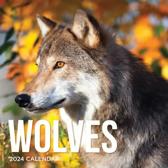 TF Publishing 2024 Wolves Wall Calendar {1}