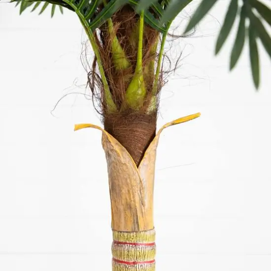 8ft. Potted Coconut Palm Tree {6}