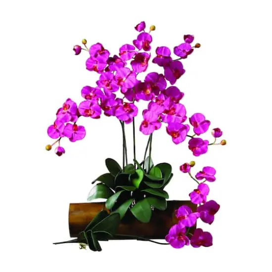 Beauty Pink Moth Orchid Stem, 6ct. {3}