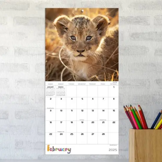 TF Publishing 2025 Baby Animals Mini Calendar {4}