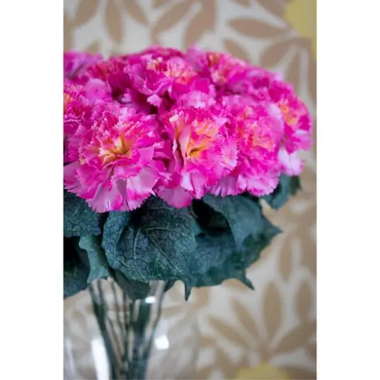 Carnation Arrangement In Vase Dark Pink {5}