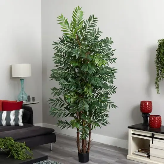 7ft. Potted Bamboo Palm Tree {3}
