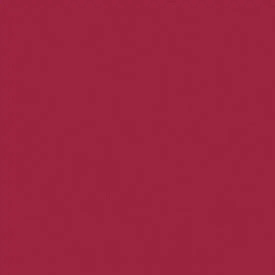 Liquitex&reg; Professional Spray Paint Cadmium Red Deep Hue 5 {4}