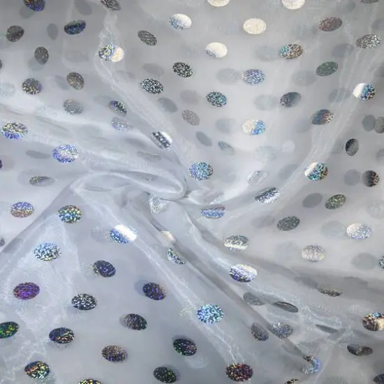 Feldman White with Silver Foil Polka Dots Organza {7}