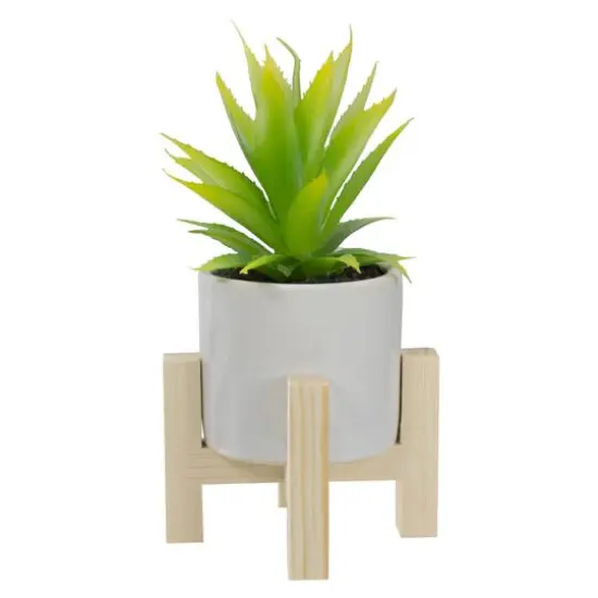 8.25" Potted Green Agave Plant with Wooden Stand {1}