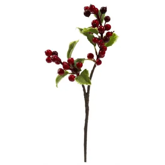 Holly Berry Stem, 6ct. {1}
