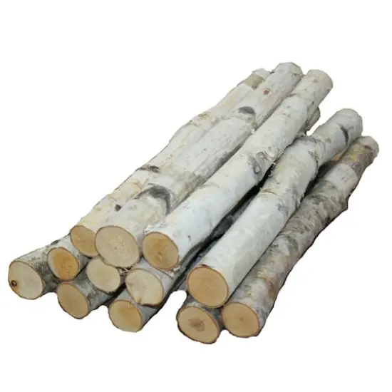 Wilson&reg; Enterprises Birch Logs Set, 12ct. {1}