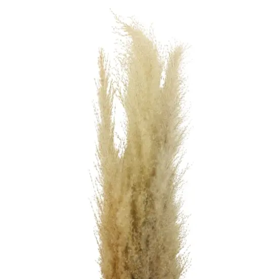 Natural Brown Pampas Bunch by Ashland&reg; {3}